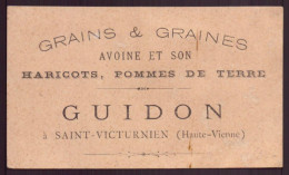 CARTE DE VISITE GUIDON A SAINT VICTURNIEN GRAINS & GRAINES - Cartes De Visite