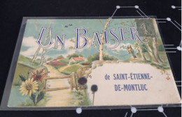 Cartes   Postale   UN BAISER  DE SAINT ETINNE DE MONTLUC - Saint Etienne De Montluc