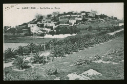 922 - TUNISIE - CARTHAGE - La Colline De Byrsa - Túnez