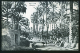 924 - TUNISIE - TOZEUR - Tunisie