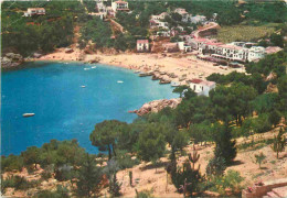 Espagne - Espana - Cataluna - Costa Brava - Tamariu - Vista General - Vue Générale - CPM - Voir Scans Recto-Verso - Gerona