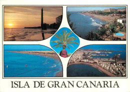 Espagne - Espana - Islas Canarias - Gran Canaria - Multivues - CPM - Voir Scans Recto-Verso - Gran Canaria