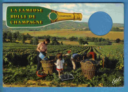 Vignes - Champagne - Vendanges - Ecrite En 1986 - Weinberge