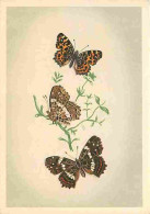 Animaux - Papillons - Papillons Diurnes D'Europe - Série 2 - 14 - Carte Géographique - Araschnia Levana L - CPM - Voir S - Schmetterlinge