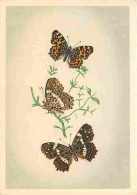 Animaux - Papillons - Papillons Diurnes D'Europe - Série 2 - 14 - Carte Géographique - Araschnia Levana L - CPM - Voir S - Papillons