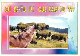 Animaux - Loups - Bisons - Wolf - Lobo - CPM - Carte Neuve - Voir Scans Recto-Verso - Andere & Zonder Classificatie