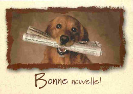 Animaux - Chiens - Race à Définir - Carte Humoristique - CPM - Voir Scans Recto-Verso - Chiens