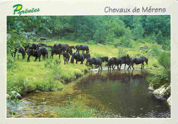 Animaux - Chevaux - Pyrénées - Chevaux De Mérens - Voir Scans Recto Verso  - Chevaux