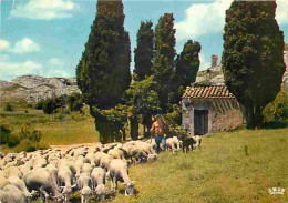 Animaux - Moutons - Bottle Neck - Goathland North York Moon - CPM - Voir Scans Recto-Verso - Andere & Zonder Classificatie