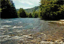 03 - Allier - La Vallée De La Sioule - CPM - Carte Neuve - Voir Scans Recto-Verso - Sonstige & Ohne Zuordnung