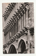 21 . Dijon . Notre Dame  . Les Gargouilles - Dijon