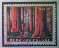 United States, Scott #4378 Used(o), 2009, American Landmarks Series: Redwood Forrest, $4.95, Multicolored - Used Stamps