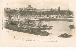 34  MONTPELLIER  PROMENADE ET JARDIN DE L ESPLANADE - Montpellier