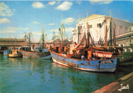 Lorient * Le Port De Pêche * Bateaux * Bateau " PATRONNE DE BRETAGNE " - Lorient