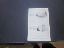 OCEANIC ANGLER-FISHES Edriolychnus Schmidti Male - Poissons Et Crustacés