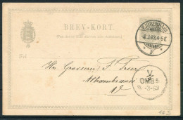 1893 Denmark 3 Ore Stationery Postcard Copenhagen Brevkort - Covers & Documents