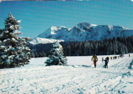38 - Isere - CHAMROUSSE -  Ski De Fond A La Prairie D Arcelle - Chamrousse