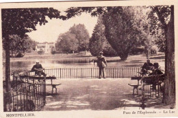 34 - Herault -  MONTPELLIER - Parc De L Esplanade - Montpellier