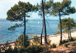 33 - Gironde -  ARCACHON - Les Abatilles - La Plage Et Le Bassin - Arcachon