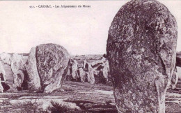 56 - Morbihan - CARNAC - Les Menhirs - Alignements Du Ménéc - Carnac