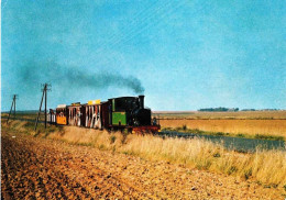 45 - Loiret -   PITHIVIERS - Musée Des Transports -  Le Tortillard Dans La Campagne Gatinaise - Pithiviers