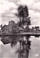 44 - Loire Atlantique - La GRANDE BRIERE -  Chaumieres Au Bord De L Eau - Autres & Non Classés