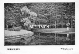 Prent - Willinkspark - Driebergen  - 8.5x12.5 Cm - Driebergen – Rijsenburg