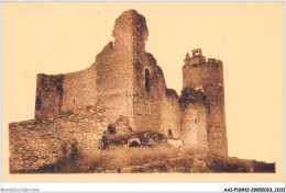 AAIP2-12-0091 - NAJAC - Ruines Du Chateau  - Najac