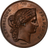 France, Médaille, Concours Général D'Animaux Et De Basse-Cour, Paris, 1878 - Sonstige & Ohne Zuordnung