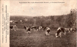 Civrieux-D'Azergues Canton Limonest Exploitation Des Laits Sélectionnés Molard Rhône 69380 Cpa Voyagée En TB.Etat - Autres & Non Classés