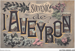 AAIP7-12-0599 - Souvenir De L'Aveyron - Multi-vues - Sonstige & Ohne Zuordnung