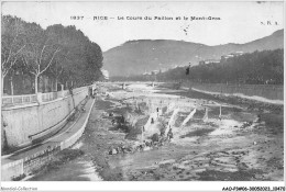 AAOP3-06-0188 - NICE - Le Cours Du Paillon Et Le Mont-Gros - Multi-vues, Vues Panoramiques