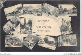 AAZP11-37-1034 - Souvenir De Veynes - Autres & Non Classés