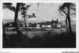 AAOP8-06-0669 - ANTIBES - Vue à Travers Les Pins - Cap D'Antibes - La Garoupe