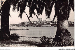 AAOP7-06-0539 - ANTIBES - Echappée Sur La Vieille Ville à Travers Les Palmiers - Antibes - Oude Stad