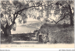ABTP5-06-0384 - MENTON - Sous Les Oliviers  - Menton