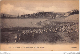 ABTP3-06-0249 - CANNES - Les Mouettes Sur La Plage - Cannes