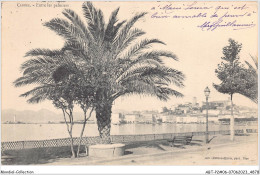 ABTP2-06-0127 - CANNES - Entre Les Palmiers - Cannes