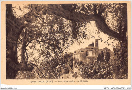 ABTP11-06-1026 - SAINT-PAUL-DE-VENCE- Vue Prise Entre Les Oliviers - Saint-Paul