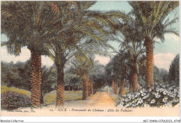 ABTP1-06-0060 - NICE - Promenade Du Chateau - Alle Des Palmiers - Parchi E Giardini