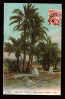 963 - TUNISIE - SCENES ET TYPES - Tombes Dans Les Palmiers - Tunesië