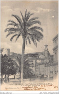 ABTP7-06-0591 - CANNES - Le Palmier De L'Hotel De Ville - Cannes