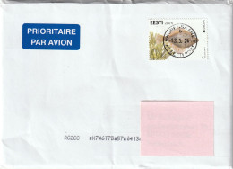 Estland 2024 Letter / Cover Fish 1 Stamp - Estonie