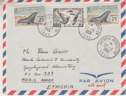 TAAF 1966 Cover With 2x Mi 21 Ca Archipel Kerguelen 27.3.1966 (59852) - Lettres & Documents