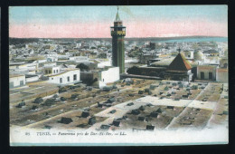 966 - TUNISIE - TUNIS - Panorama Pris De Dar El Ber - Tunesië