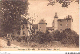 ACJP5-01-0388 - BELLEY - Entrée Du Chateau De Lucey  - Belley