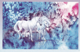 Horse - Cheval - Paard - Pferd - Cavallo - Cavalo - Caballo - Häst - 6 Mini Postcards - Villivarsa - Wild Foal - Horses