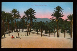 971 - TUNISIE - Palmiers Dans Les Dunes - Tunisie