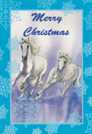 Horse - Cheval - Paard - Pferd - Cavallo - Cavalo - Caballo - Häst - 2 Mini Postcards - Villivarsa - Wild Foal - Horses