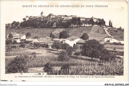 AFBP1-01-0103 - PEROUGES - Panorama De Perouges Coté Sud - Le Hameau Du Péage  - Pérouges